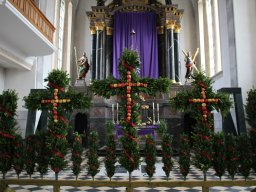 IMG_9016